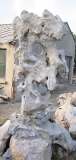 Taihu Stone