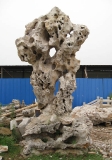 Taihu Stone