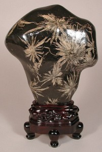 Scholar's Rock - Chrysanthemum Stone