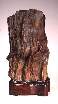 Scholar's Rock - Petrified Wood